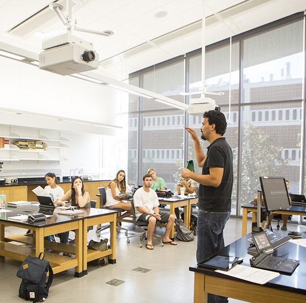 Students in class
